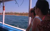 Туры в отель Dolphin Beach Bali