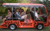 Туры в отель Dolphin Beach Bali