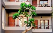 Туры в отель Lombok Garden Hotel