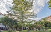 Туры в отель Lombok Garden Hotel