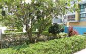 Туры в отель Apartments Alex Group NEOcondo Pattaya