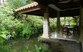 Туры в отель Gunung Paradis Retreat