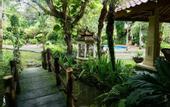 Туры в отель Gunung Paradis Retreat