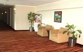Туры в отель Swiss-Belhotel Merauke