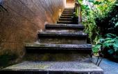 Туры в отель Bali Asli Lodge by EPS