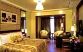 Туры в отель Golden Tulip Jaipur