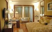Туры в отель Golden Tulip Jaipur