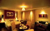 Туры в отель Golden Tulip Jaipur