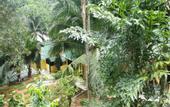 Туры в отель Island Lodge