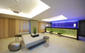 Туры в отель Sotetsu Fresa Inn Tokyo Kyobashi