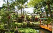 Туры в отель Cendana Resort & Spa