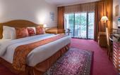 Туры в отель Golden Tulip Nizwa