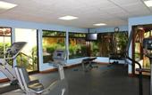 Туры в отель Country Inn & Suites by Radisson, San Jose Aeropuerto, Costa Rica