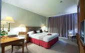 Туры в отель Sahid Jaya Hotel Solo
