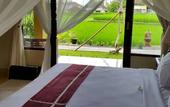 Туры в отель Sri Aksata Ubud Resort