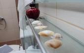 Туры в отель Allea Hotel and Apartments