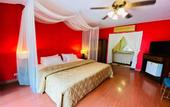 Туры в отель Safari Riviera Resort