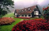 Туры в отель The Lakehouse Cameron Highlands