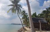 Туры в отель First Villa Beach Resort
