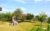 Туры в отель Zephyros Hotel