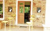Туры в отель Devra Udaipur