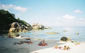 Туры в отель Silver Beach Resort