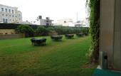 Туры в отель Royal Orchid Central Jaipur