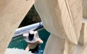 Туры в отель Batu Karang Lembongan Resort & Spa