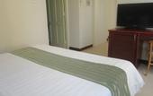 Туры в отель The Coast Hotel