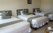 Туры в отель The Coast Hotel