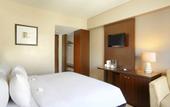 Туры в отель Hotel Santika Kuta Bali