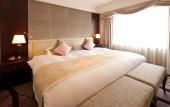 Туры в отель Royal Park Hotel Tokyo Nihonbashi