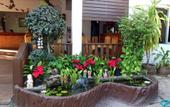 Туры в отель Lanna Thai Guesthouse