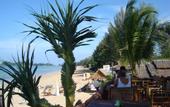 Туры в отель Lanta Garden Home