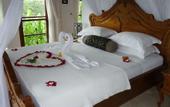 Туры в отель Amori Villas
