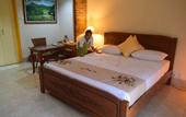 Туры в отель Hotel Deli River
