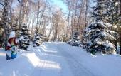 Туры в отель Берёзка Парк-Отель