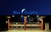 Туры в отель Blue Dolphin Hotel