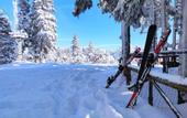 Туры в отель The Sign Esentepe Hotel & Ski Center