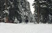 Туры в отель The Sign Esentepe Hotel & Ski Center