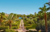 Туры в отель Iberostar Club Palmeraie Marrakech - All Inclusive