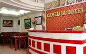 Туры в отель Camellia Hanoi Hotel