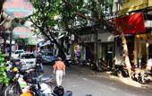 Туры в отель Camellia Hanoi Hotel