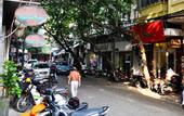 Туры в отель Camellia Hanoi Hotel