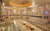Туры в отель DoubleTree by Hilton Hotel Van