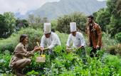 Туры в отель Tambo del Inka, a Luxury Collection Resort & Spa