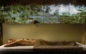 Туры в отель Relax Bali Dive & Spa Resort