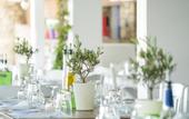 Туры в отель Bellissimo Resort