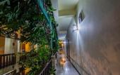 Туры в отель Sutus Court 5