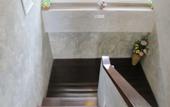 Туры в отель Triple Palms House
